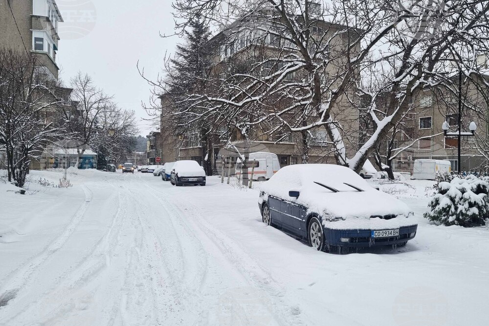Търговище - снеговалеж - обстановка
