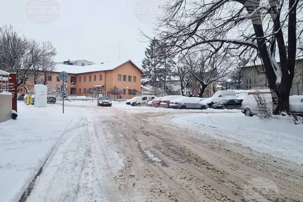 Търговище - снеговалеж - обстановка