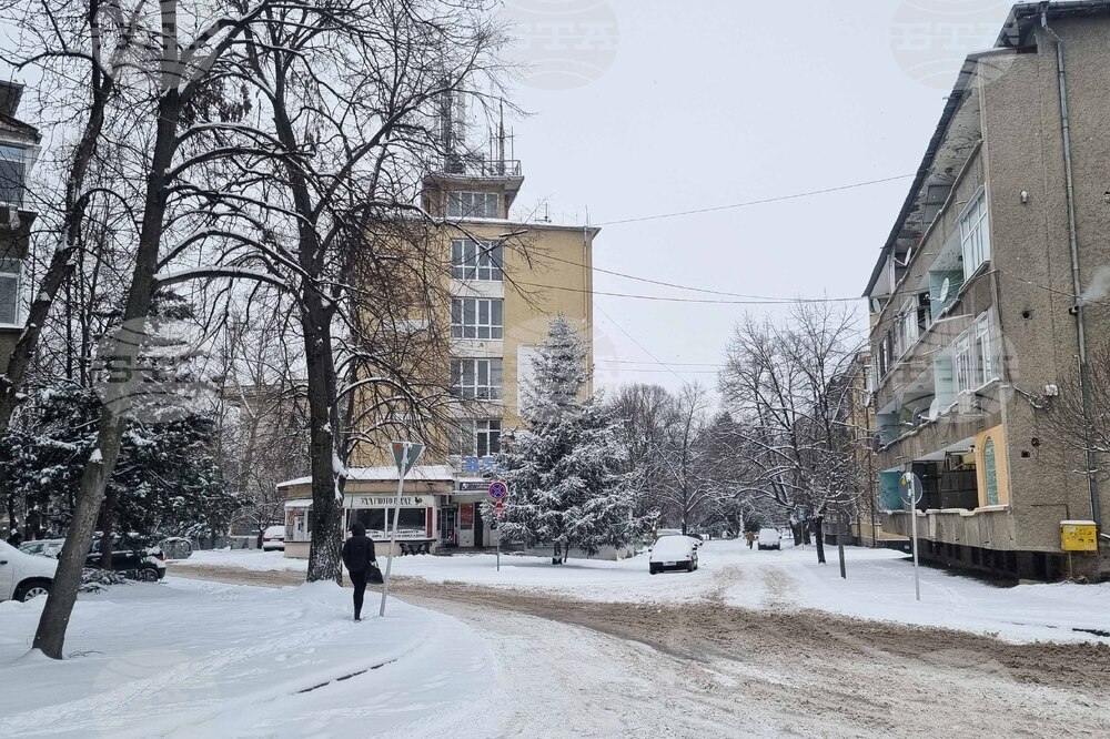Търговище - снеговалеж - обстановка