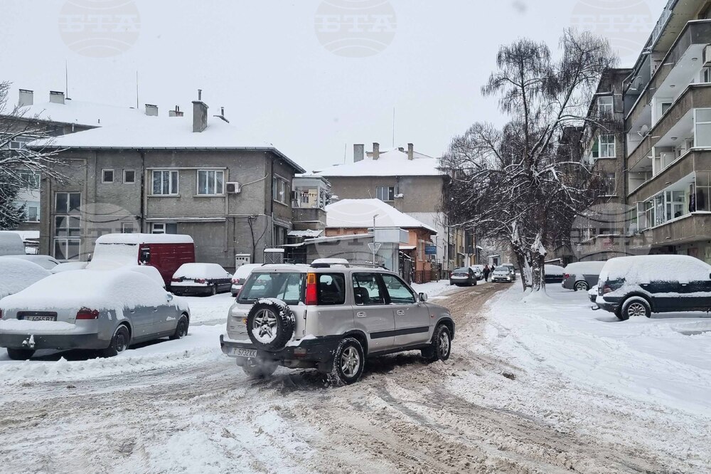 Търговище - снеговалеж - обстановка