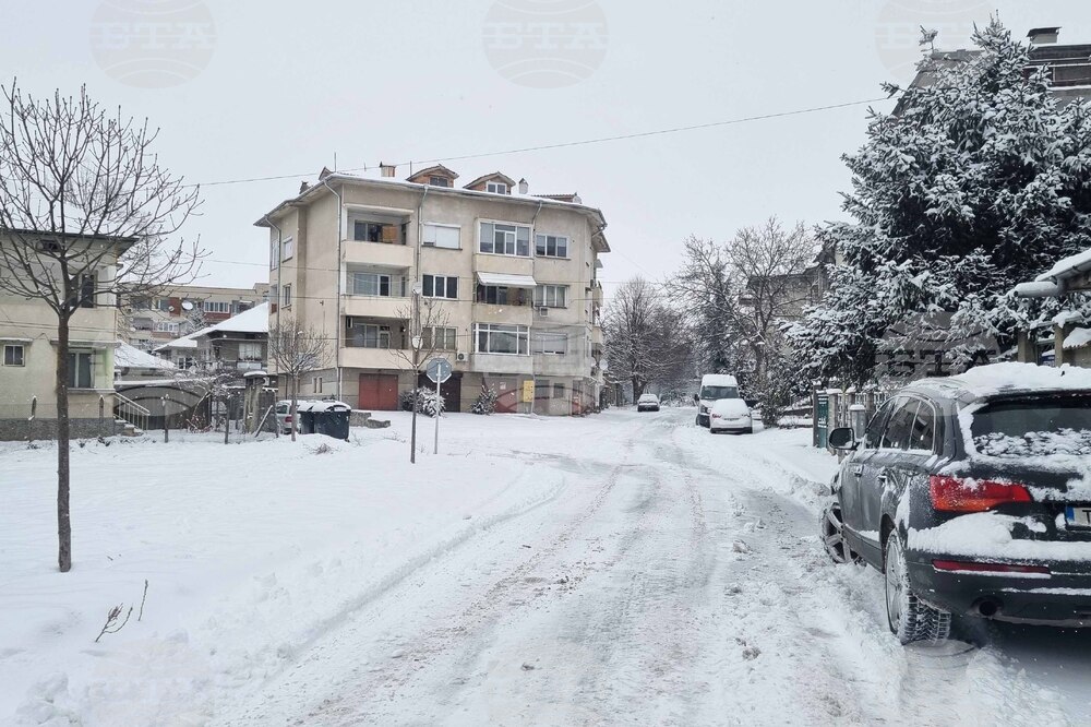 Търговище - снеговалеж - обстановка