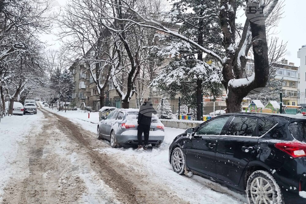 Търговище - снеговалеж - обстановка