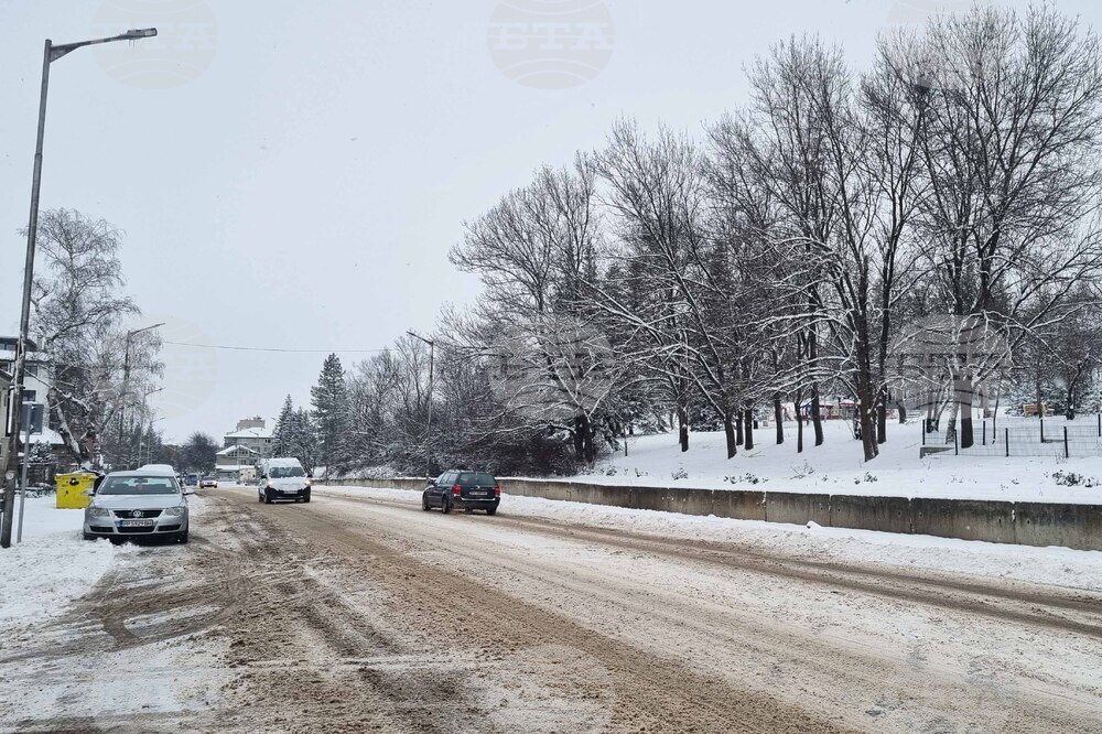 Търговище - снеговалеж - обстановка