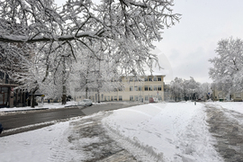 Казанлък - снеговалеж - обстановка