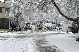 Казанлък - снеговалеж - обстановка