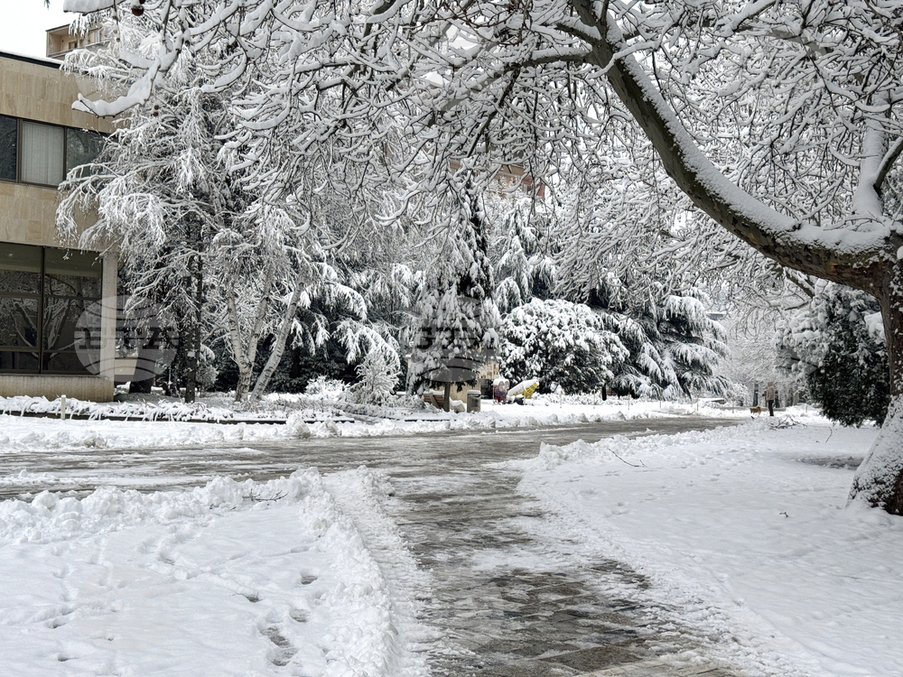 Казанлък - снеговалеж - обстановка