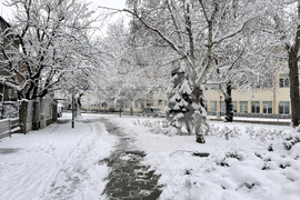 Казанлък - снеговалеж - обстановка