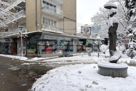 Казанлък - снеговалеж - обстановка