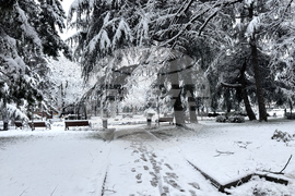 Казанлък - снеговалеж - обстановка