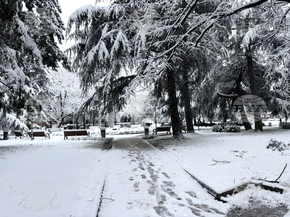 Казанлък - снеговалеж - обстановка