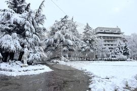 Казанлък - снеговалеж - обстановка