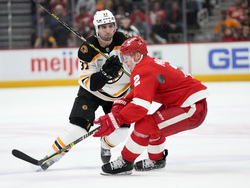 Bruins Red Wings Hockey