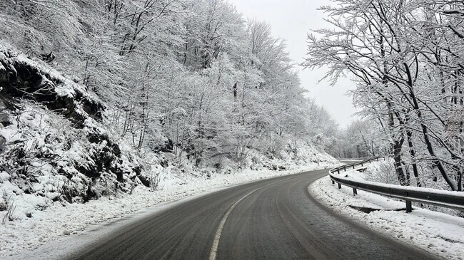 До 15 см е снежната покривка в региона на Хасково, всички пътища са проходими, съобщиха от Областна администрация