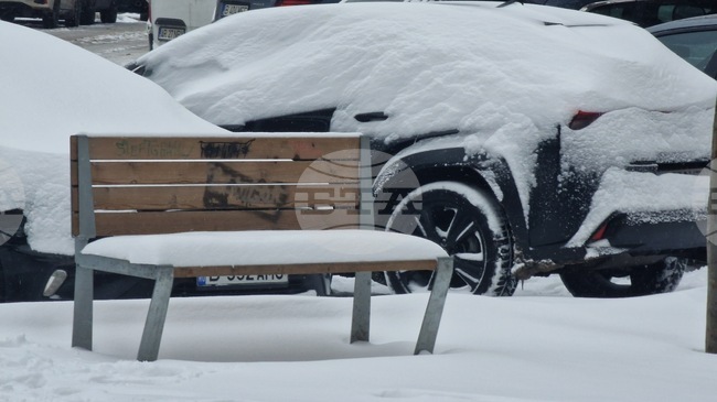 Нова студена вълна скова Румъния; в Букурещ зимата се завърна с 15 сантиметра снежна покривка