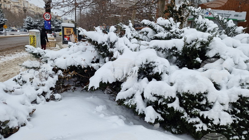 Румъния - зима