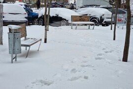 Румъния - зима