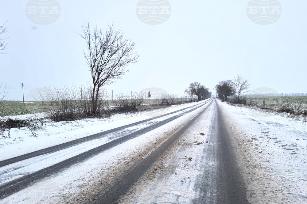 Временно е ограничено движението на товарни автомобили над 12 тона по всички направления от републиканската пътна мрежа в област Добрич