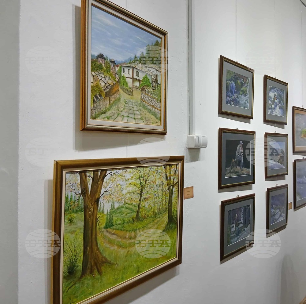 Колективна изложба на босилеградски художници ще бъде открита на 3 февруари в Радомир