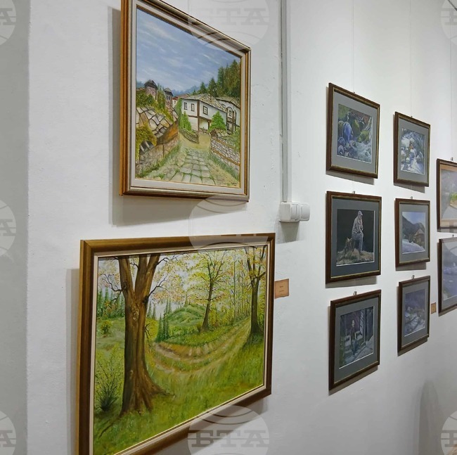 Колективна изложба на босилеградски художници ще бъде открита на 3 февруари в Радомир