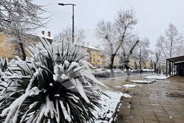 Кърджали - зима