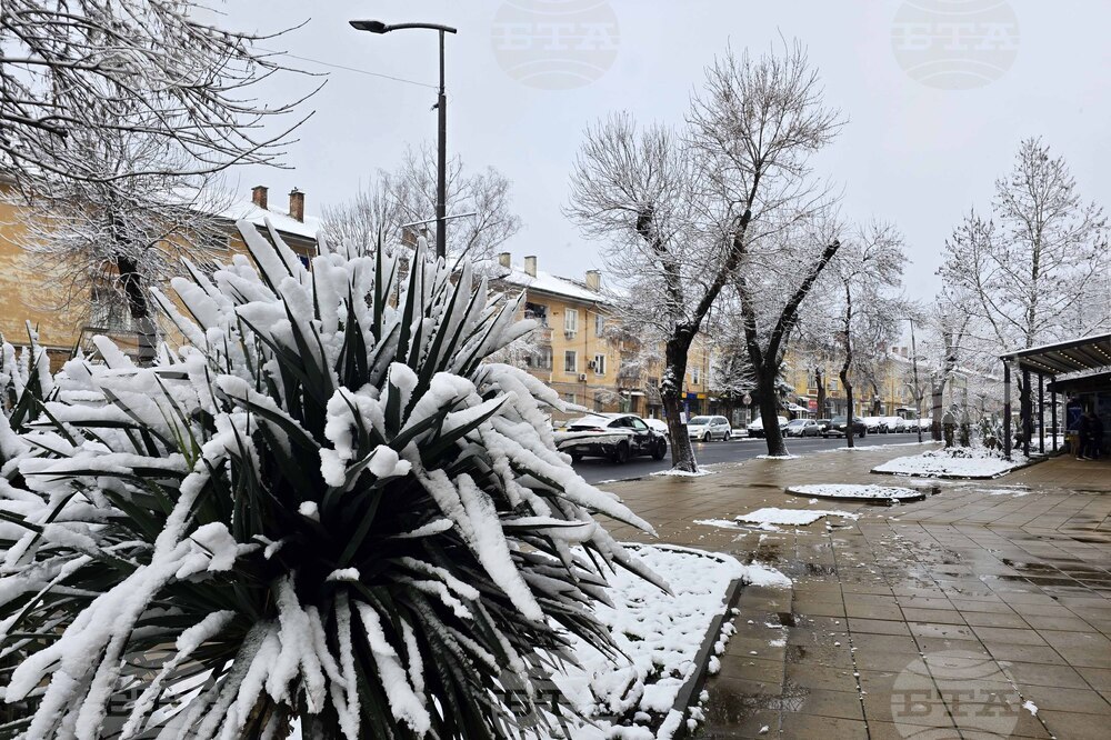 Кърджали - зима