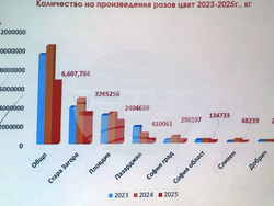 Казанлък - розопроизводство - форум