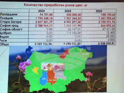 Казанлък - розопроизводство - форум