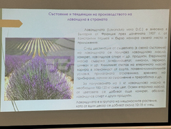 Казанлък - розопроизводство - форум