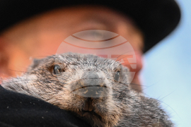 Groundhog Day