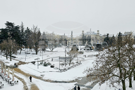 Русе - зима - сняг - обстановка