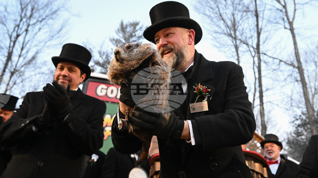 Мармотът Фил предвиди още шест седмици зима в САЩ