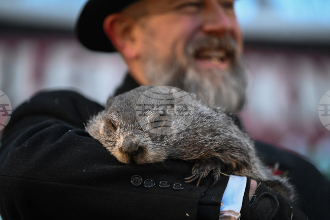 APTOPIX Groundhog Day