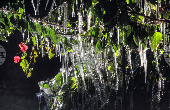 Winter Weather Florida