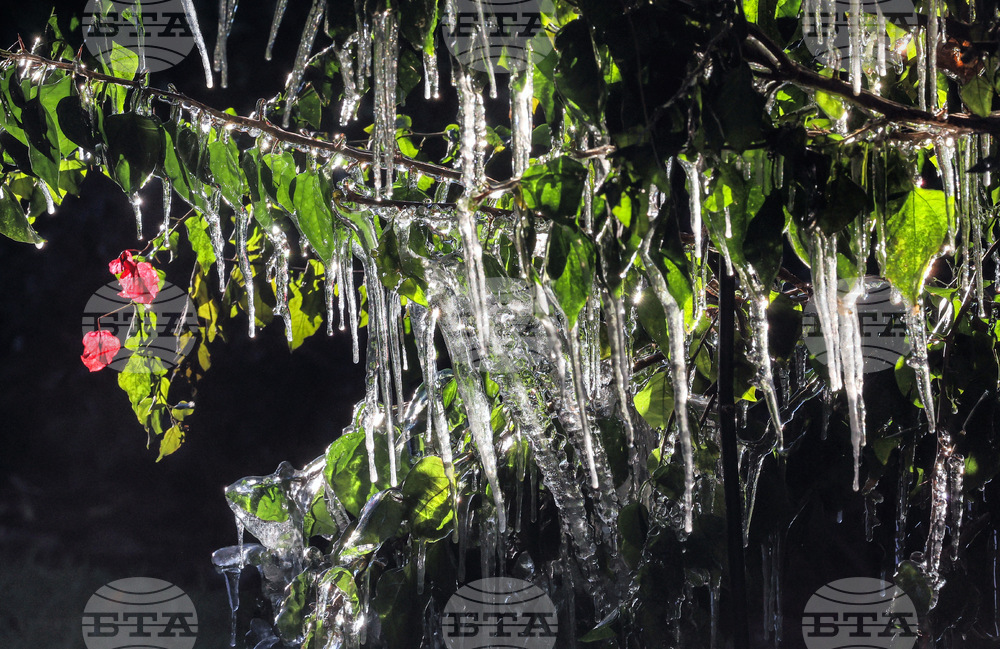 Winter Weather Florida