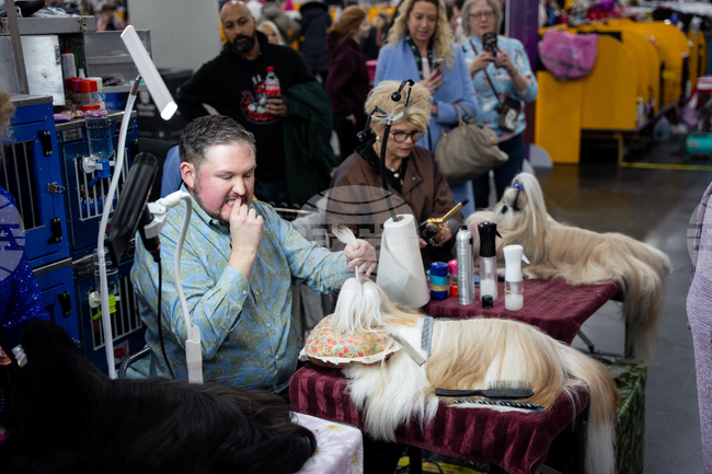 Westminster Dog Show