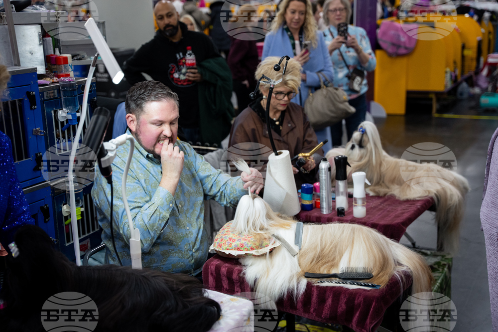 Westminster Dog Show