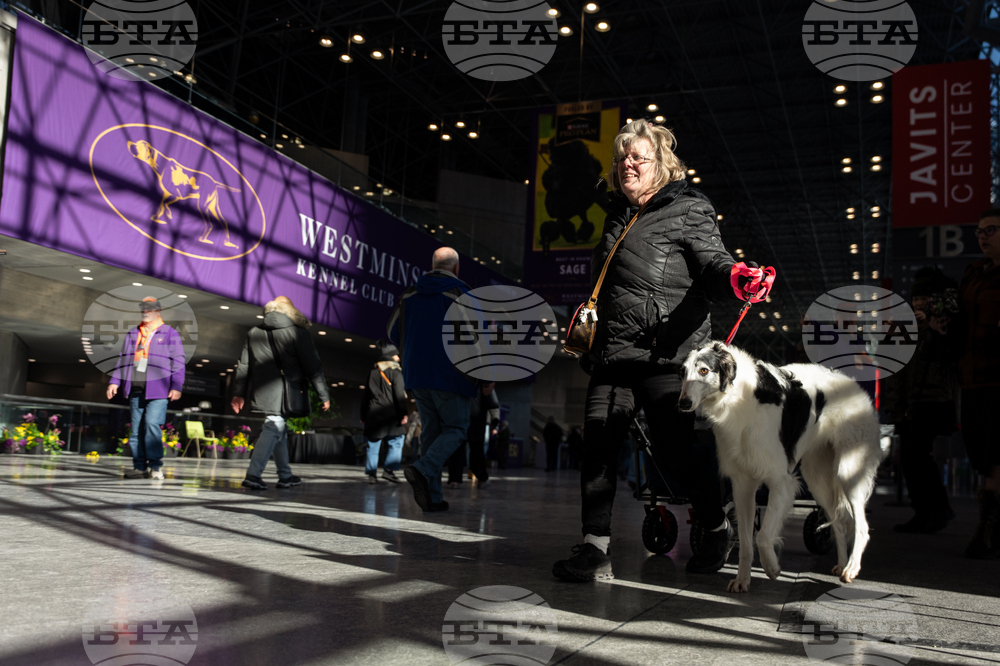 Westminster Dog Show