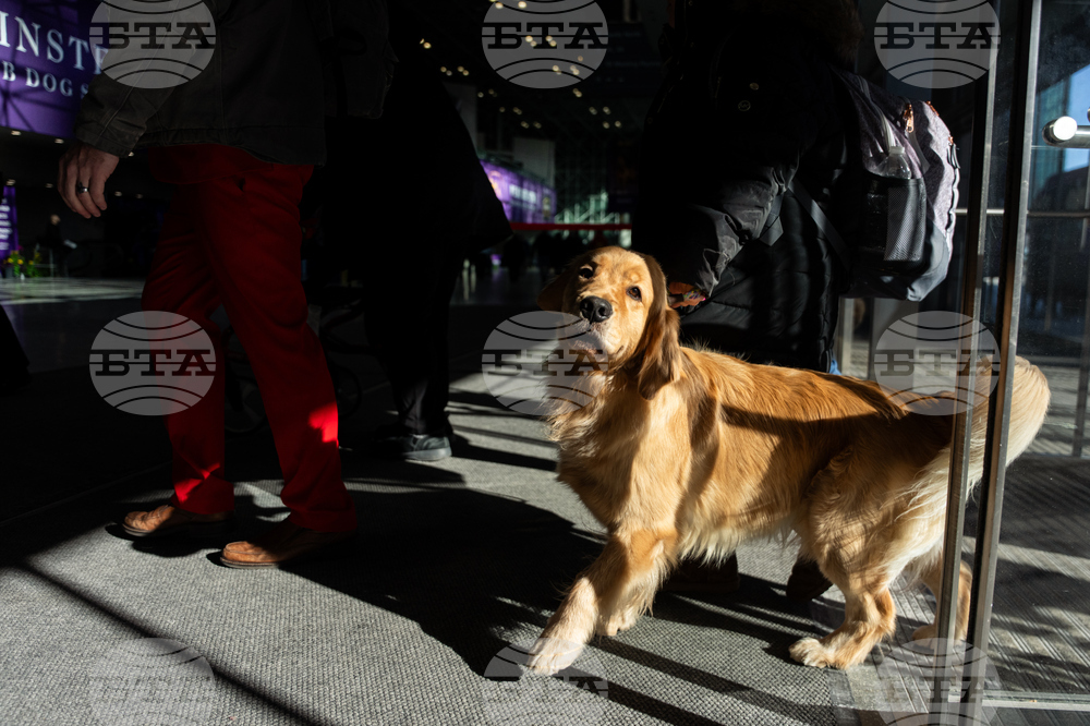 Westminster Dog Show