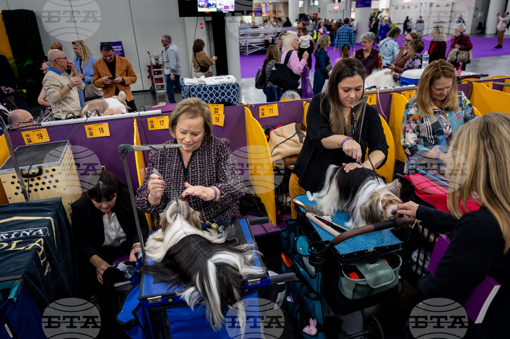 Westminster Dog Show