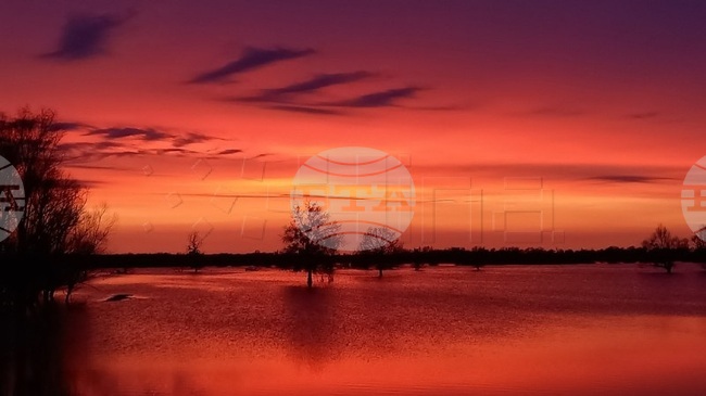 ХИНА: Хърватия отбелязва Световния ден на влажните зони със сравнително добре запазени зони