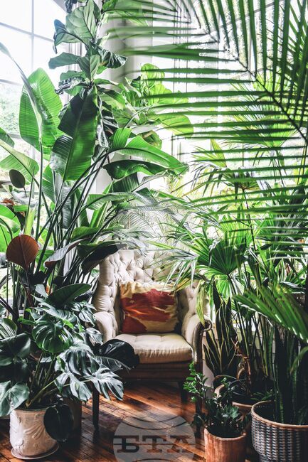 Gardening - Nature Nooks