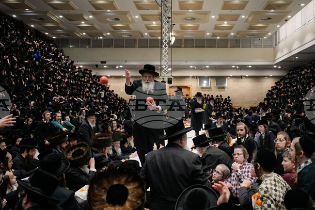 APTOPIX Israel Tu Bishvat