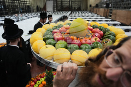 APTOPIX Israel Tu Bishvat