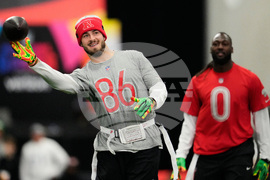 Pro Bowl Football