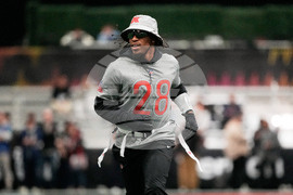 Pro Bowl Football