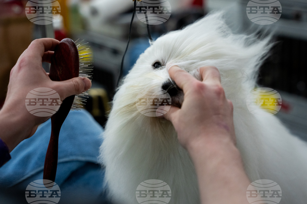 Westminster Dog Show