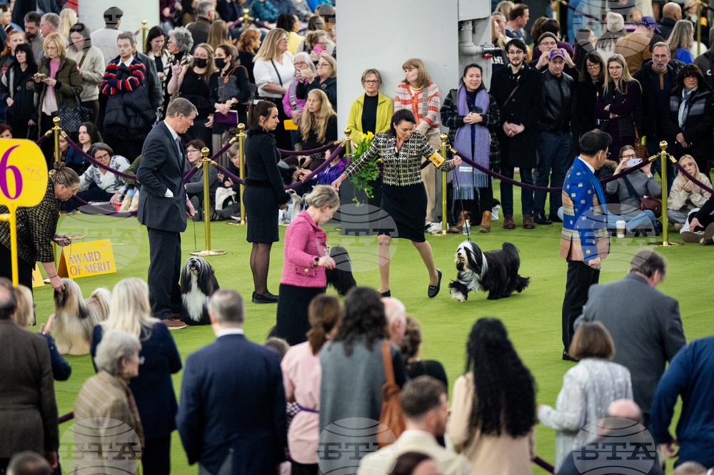 Westminster Dog Show