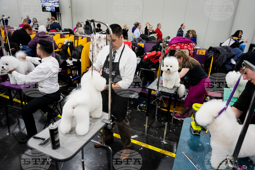 Westminster Dog Show