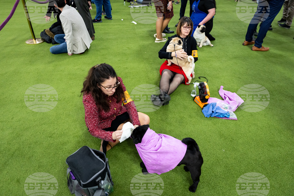 Westminster Dog Show
