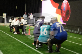 Pro Bowl Football